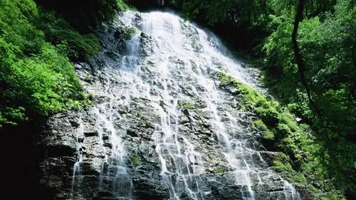 绿色环保